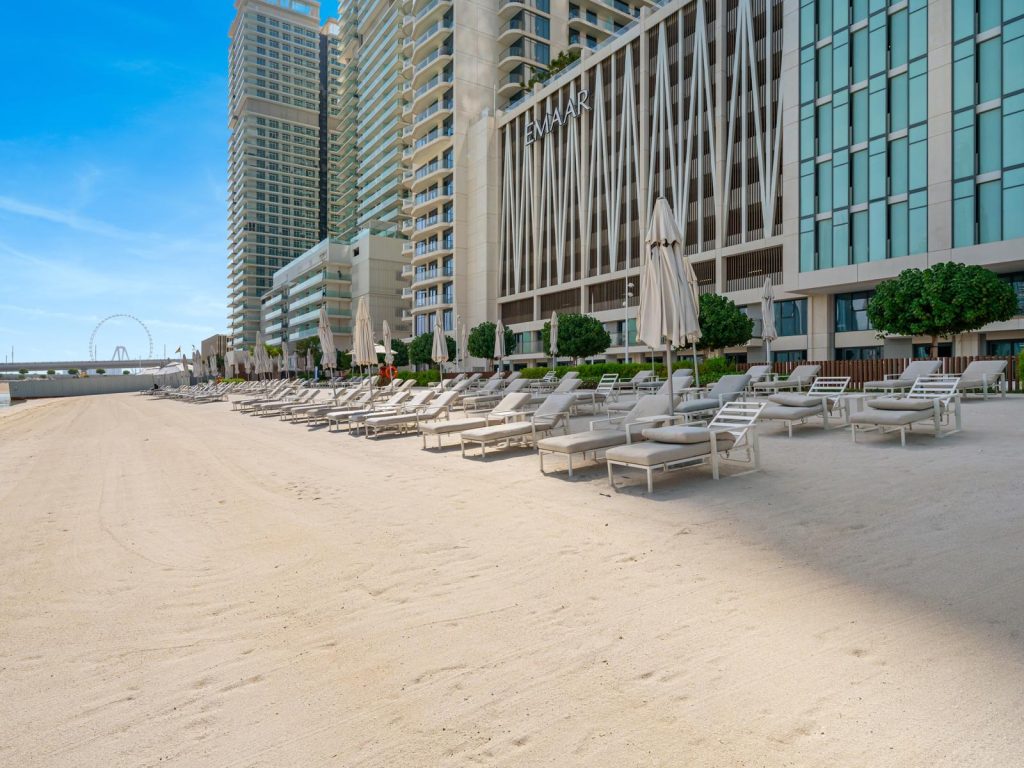 WhatsApp Image 2025-03-15 at 1.38.53 AM (10)